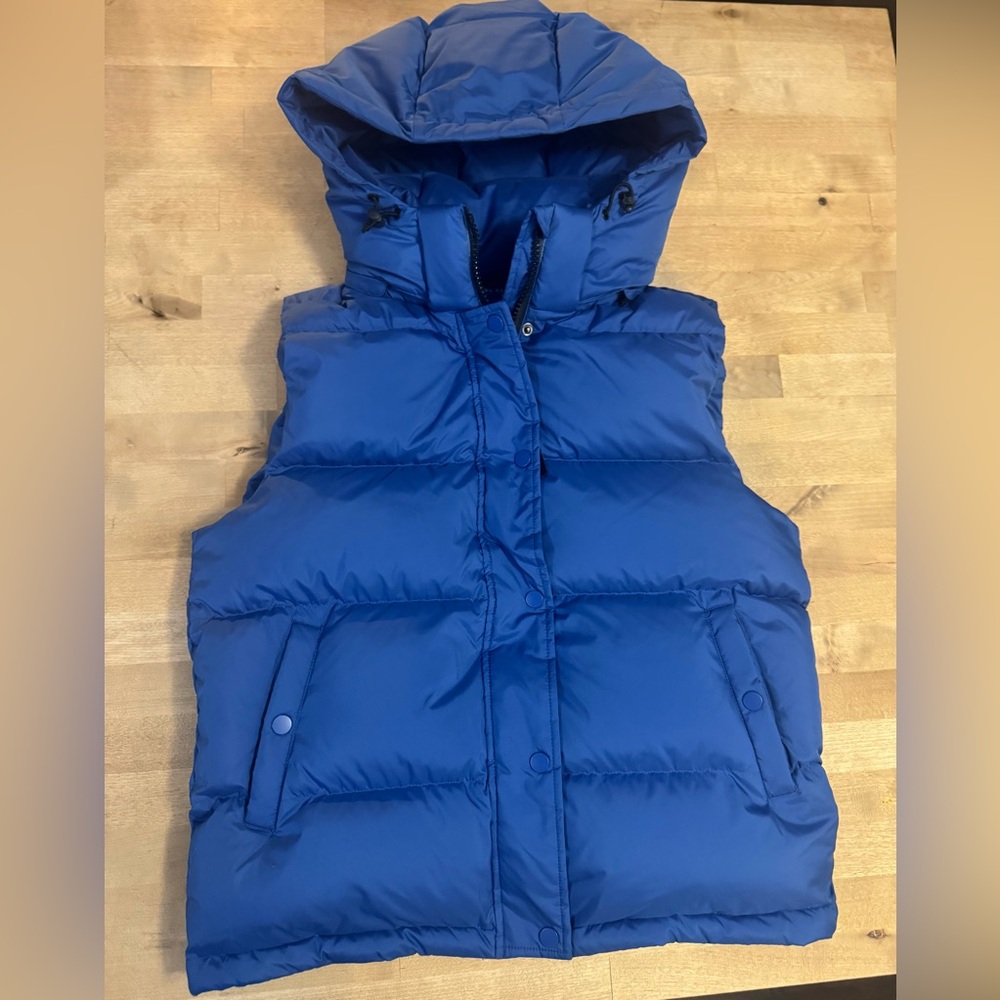 Quince Responsible Hooded Blue down filled Puffer Vest